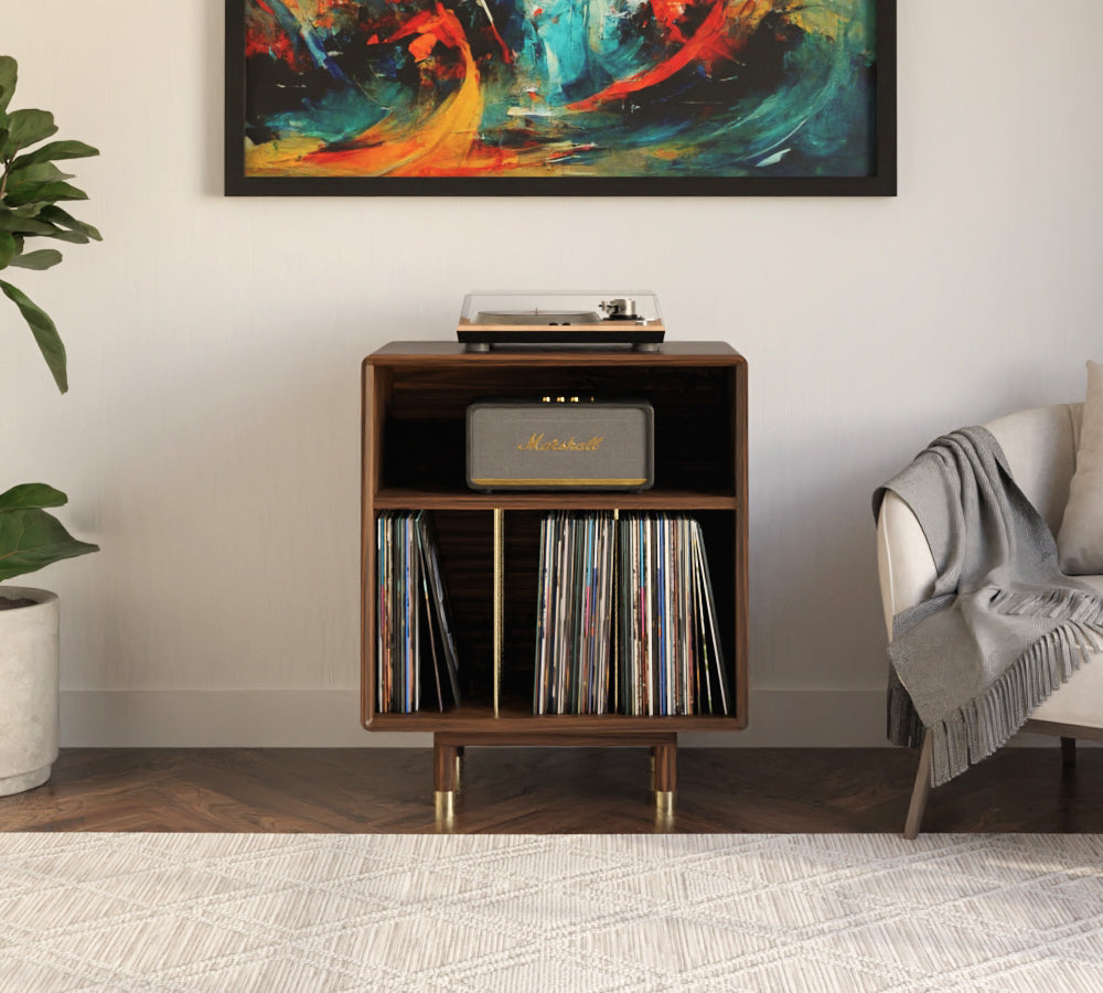Vinyl Record Storage – Avin Furniture Co