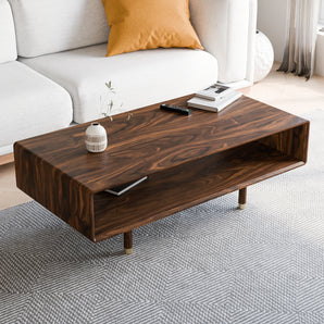 Mid Century Modern Coffee Table W/ Storage