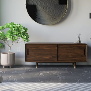 Mid Century Modern Shoe Storage Cabinet