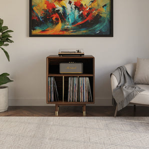 Low Profile Vinyl Record Storage Console