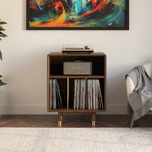 Low Profile Vinyl Record Storage Console